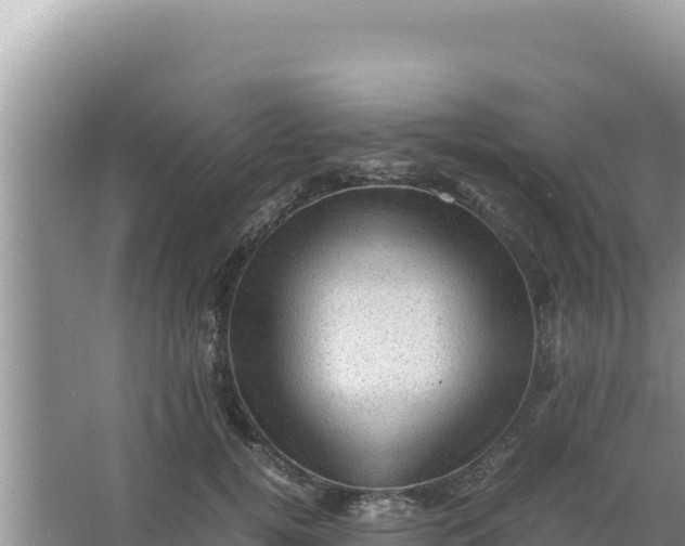 X0000066960752200604072004