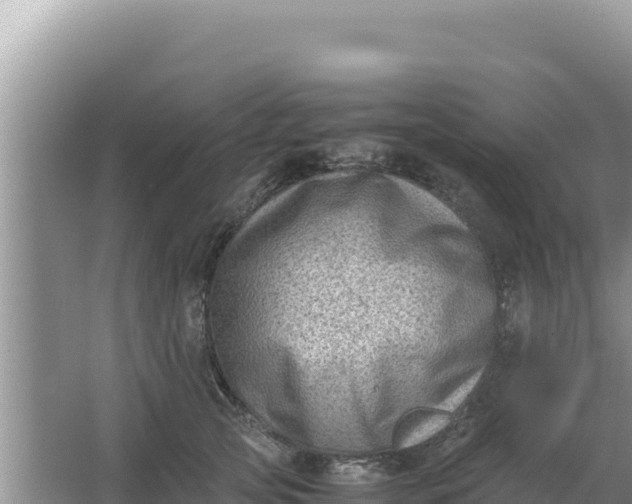 X0000066960753200604072004