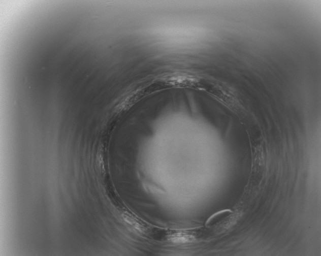 X0000066960754200604072004