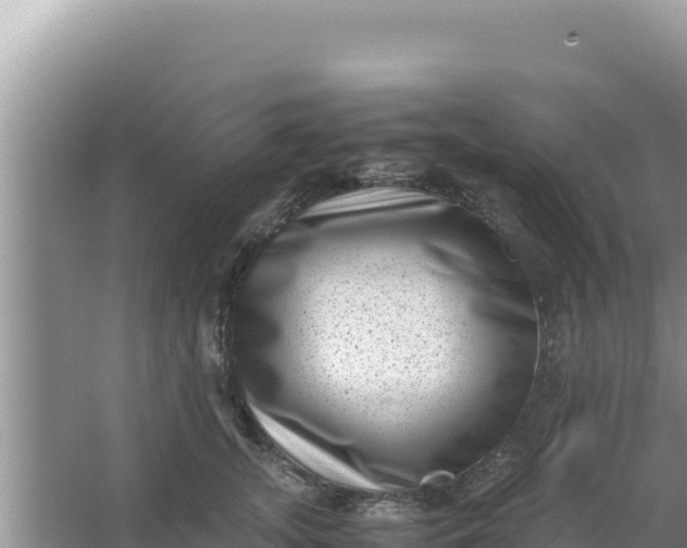 X0000066960755200604072004