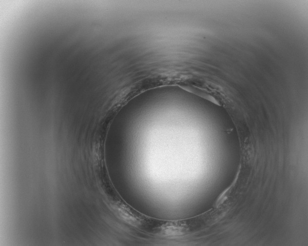 X0000066960756200604072004