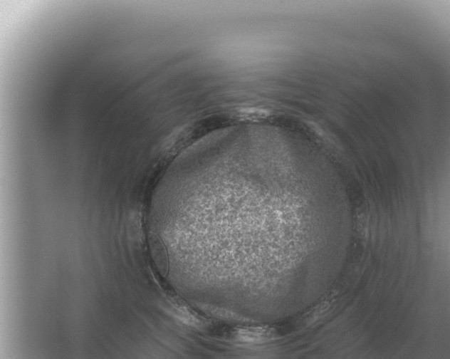 X0000066960757200604072004