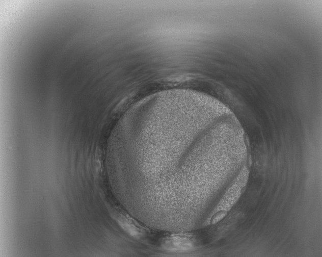 X0000066960758200604072004