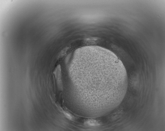 X0000066960759200604072004