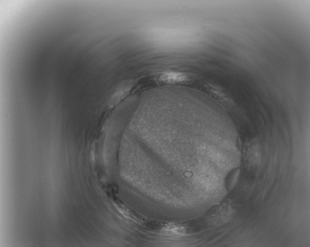 X0000066960760200604072004