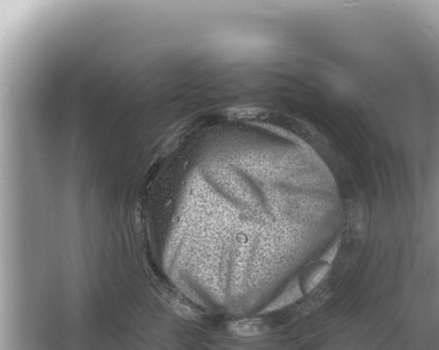 X0000066960761200604072004