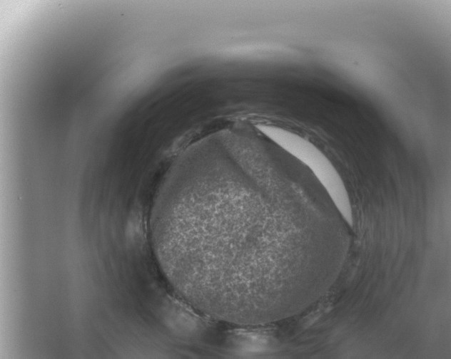 X0000066960763200604072004