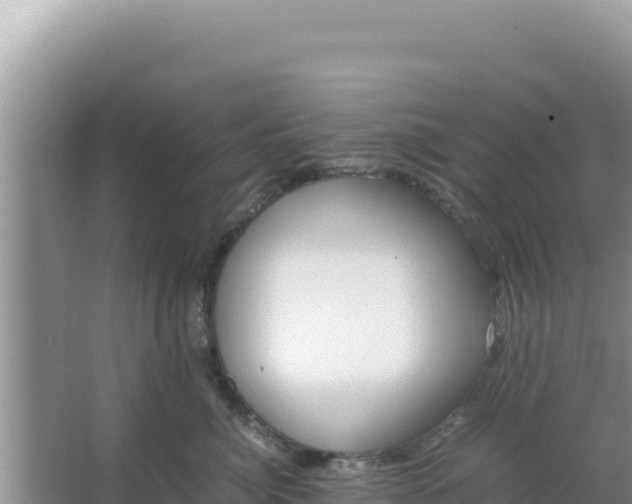 X0000066960764200604072004