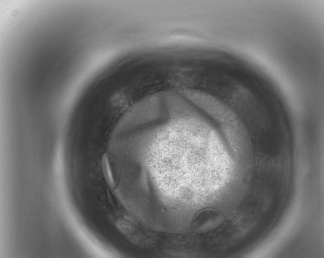 X0000066960765200604072004