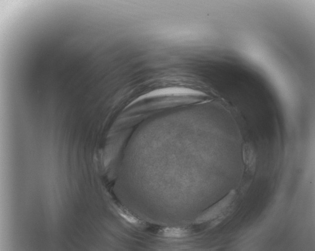 X0000066960766200604072004