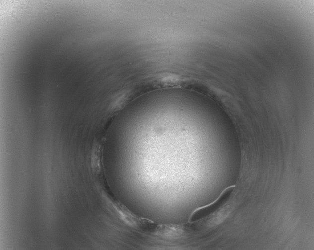 X0000066960768200604072004