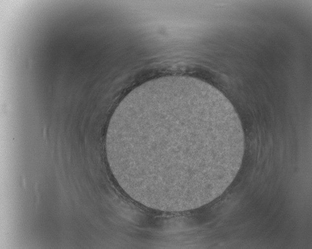 X0000066960769200604072003