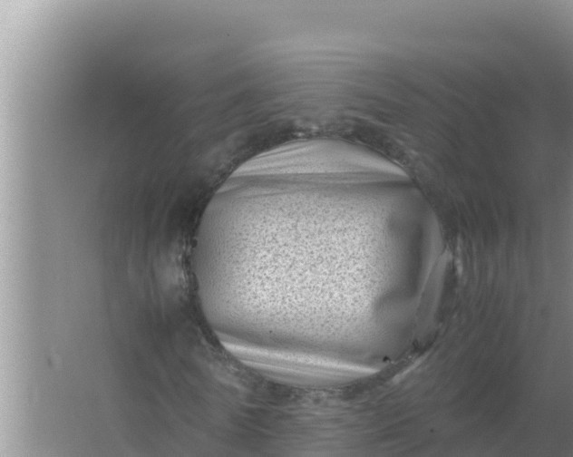 X0000066960770200604072003