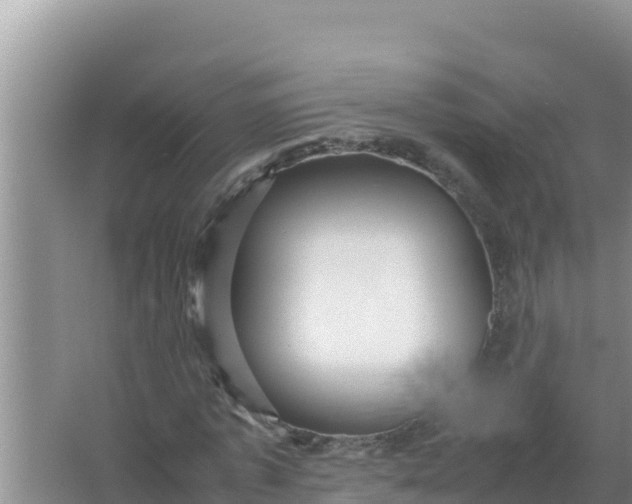 X0000066960773200604072003