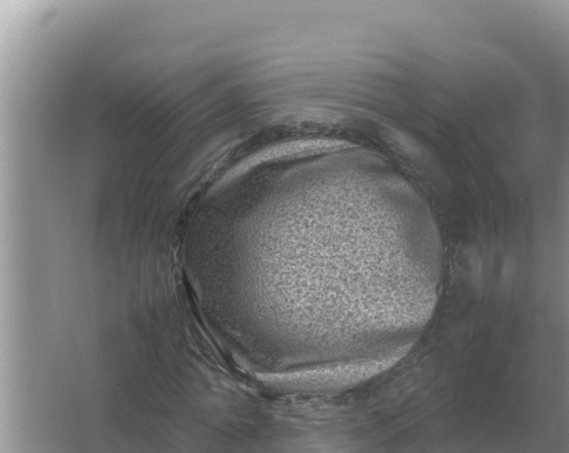 X0000066960774200604072003