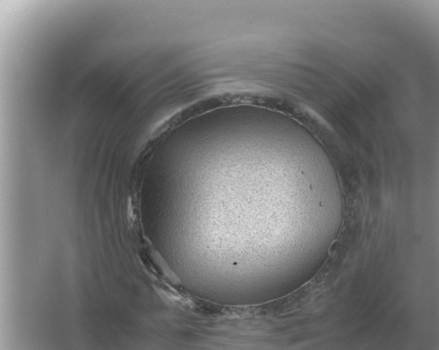 X0000066960775200604072003