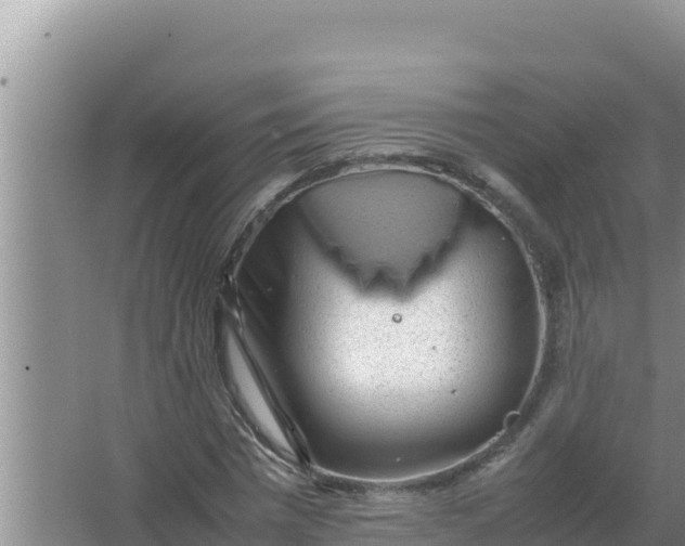 X0000066960777200604072003