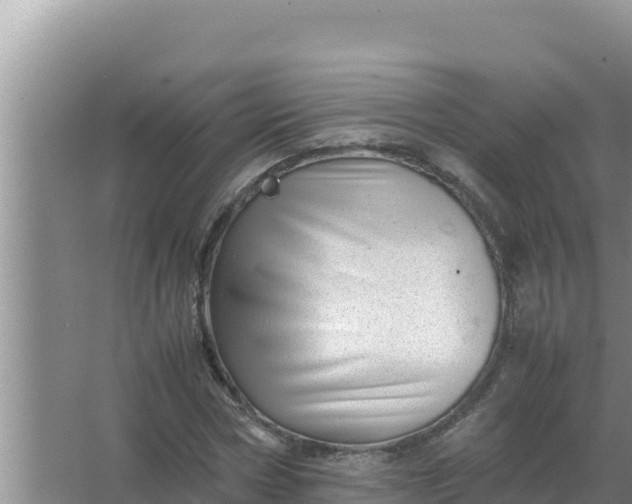 X0000066960778200604072003