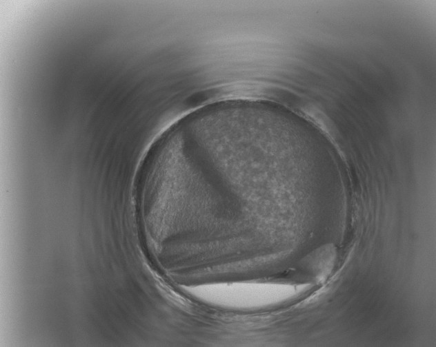 X0000066960779200604072003