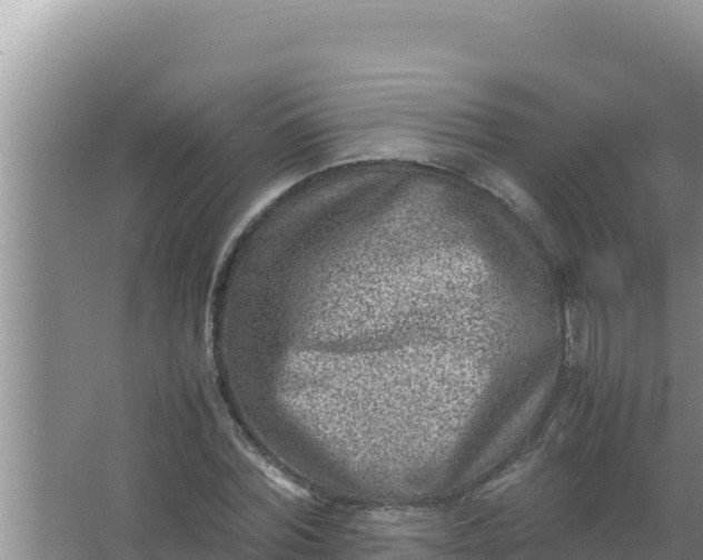 X0000066960780200604072003