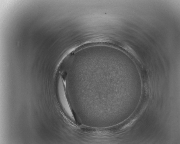 X0000066960781200604072003