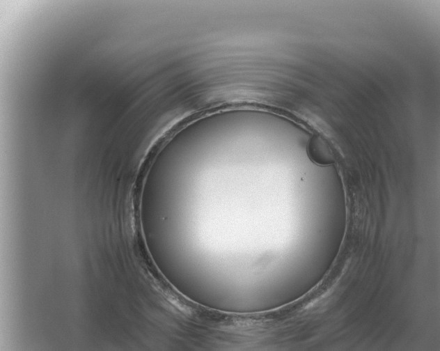 X0000066960782200604072003