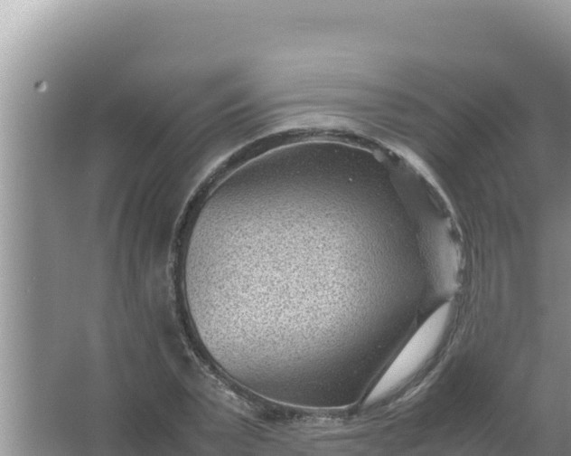 X0000066960783200604072003