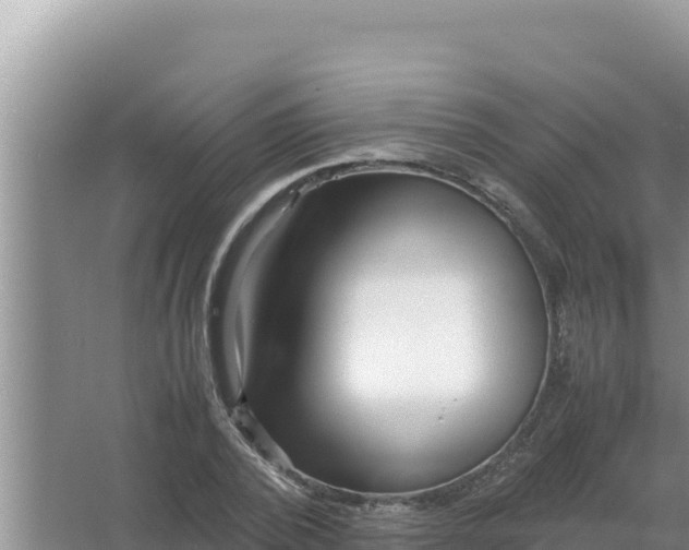 X0000066960784200604072003