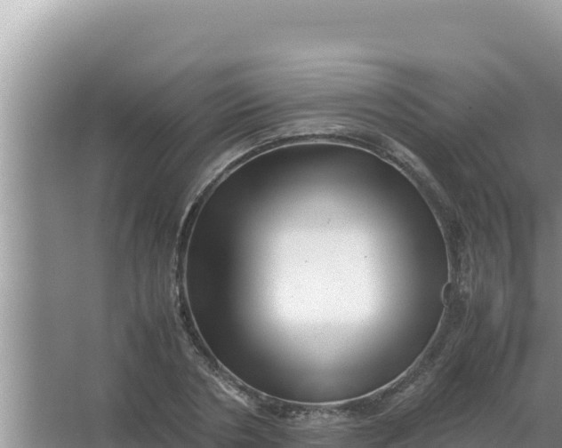 X0000066960786200604072003