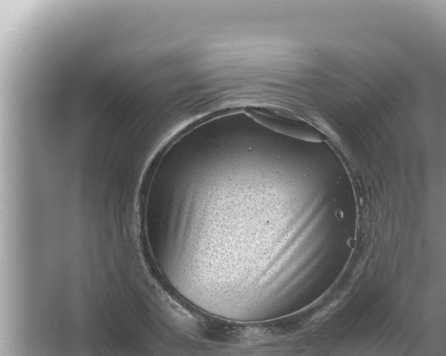 X0000066960787200604072003