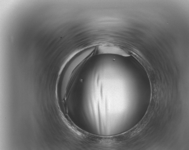 X0000066960788200604072003