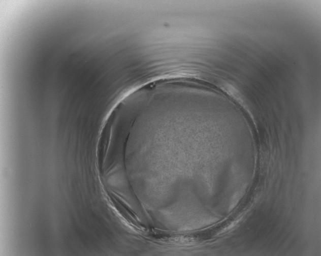 X0000066960789200604072003