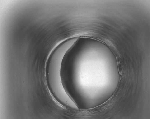 X0000066960792200604072003