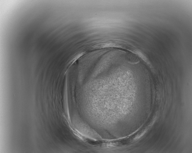 X0000066960793200604072003