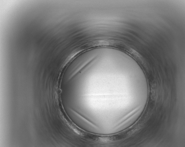 X0000066960794200604072003