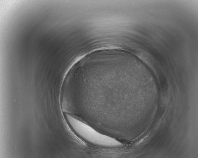 X0000066960797200604072003