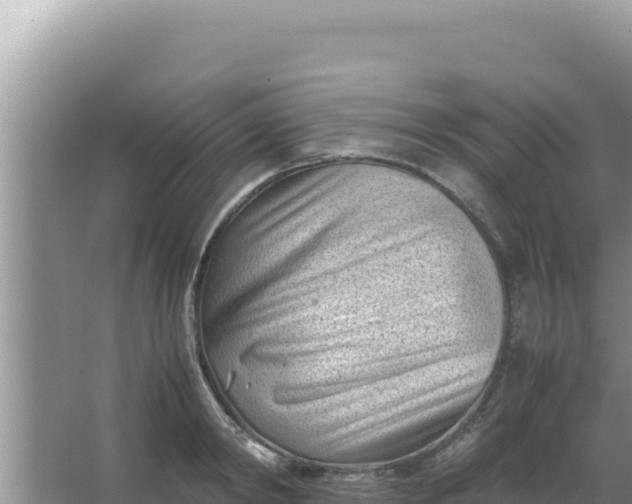 X0000066960798200604072003