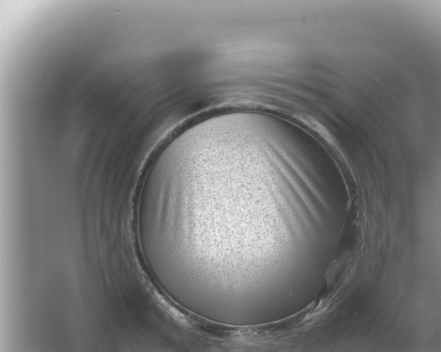 X0000066960799200604072003