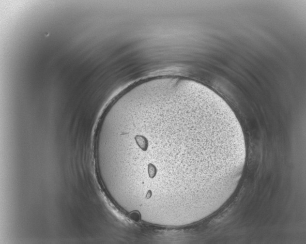 X0000066960800200604072003