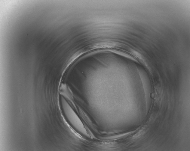 X0000066960802200604072003