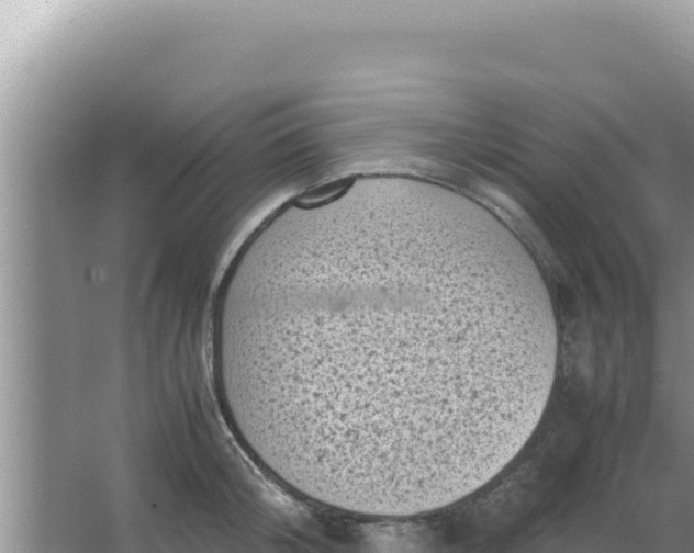 X0000066960804200604072003