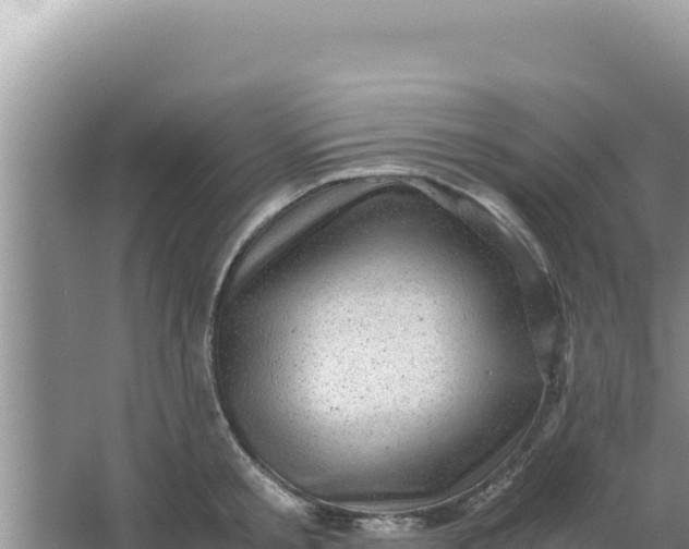 X0000066960805200604072003