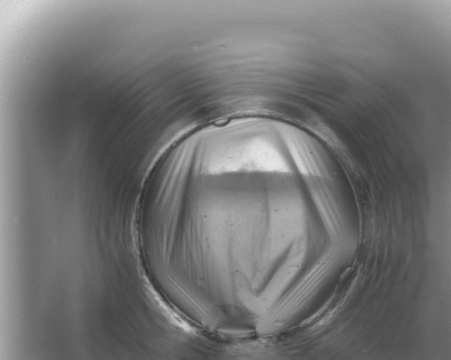 X0000066960806200604072003