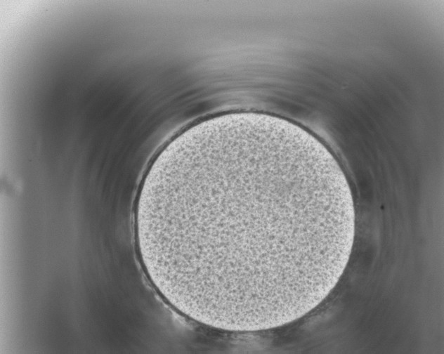 X0000066960807200604072003