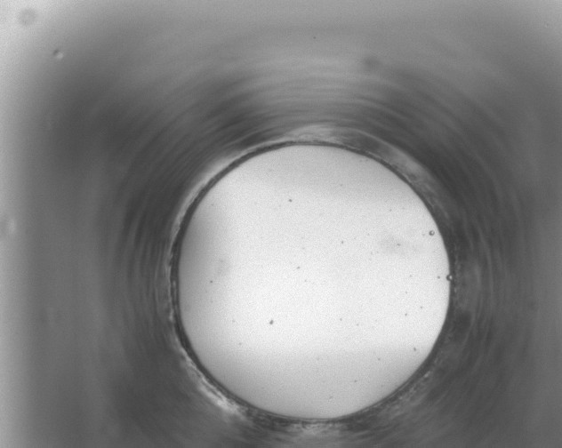 X0000066960808200604072003