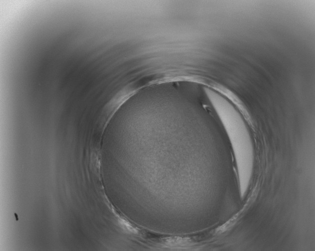 X0000066960809200604072003