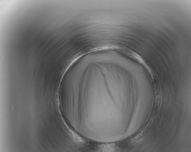 X0000066960810200604072003