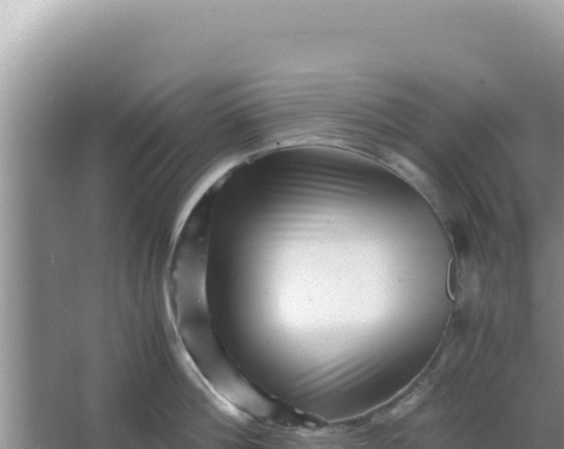 X0000066960812200604072003