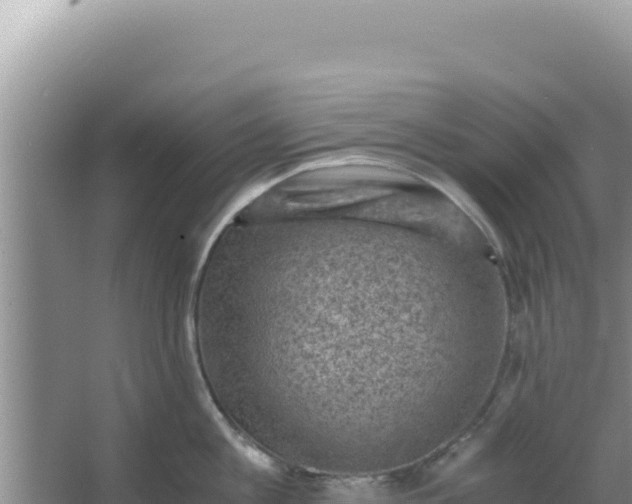 X0000066960813200604072003