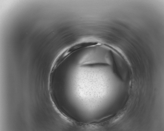 X0000066960815200604072003